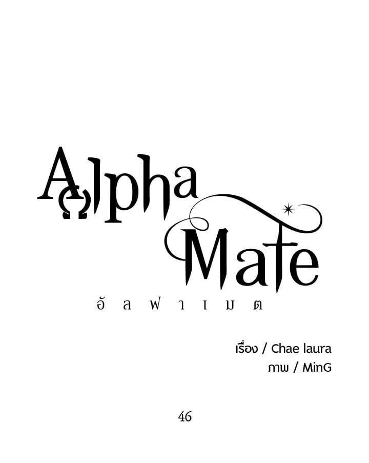 Alpha Mate 46 26