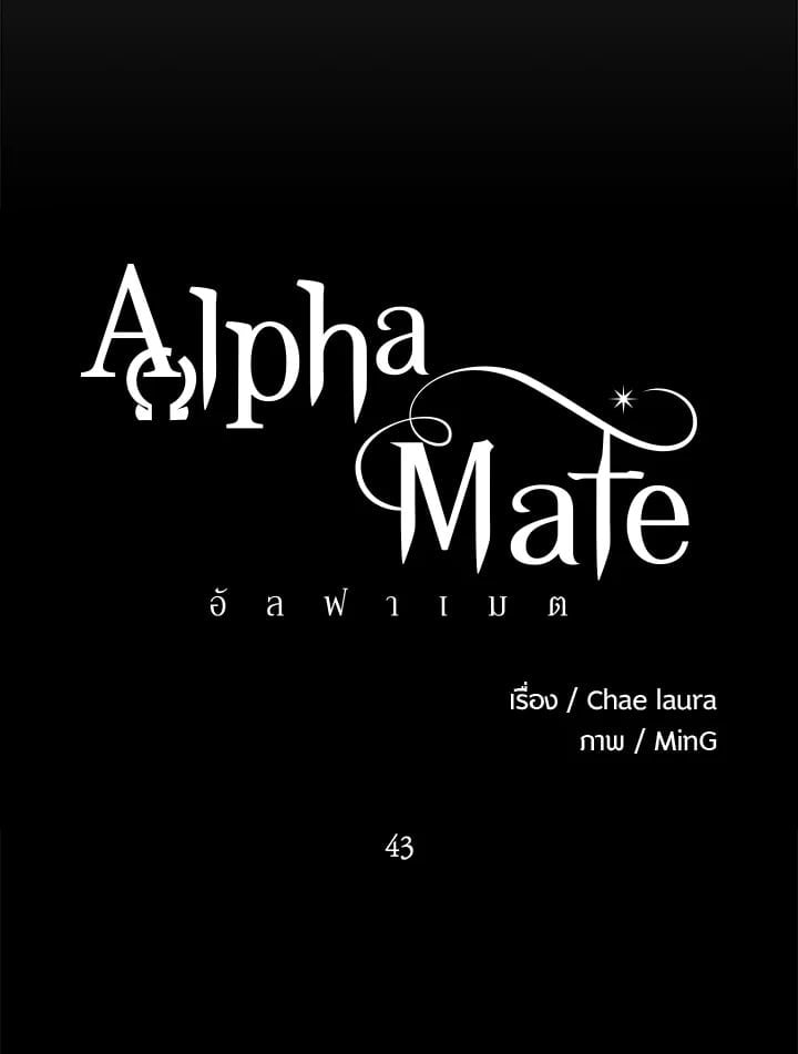 Alpha Mate 43 026